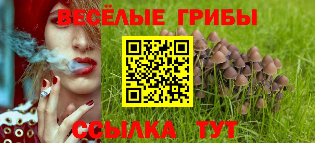 Псилоцибиновые грибы прущие грибы  Вход с VPN  Галлюциногенные грибы ЛСД  Когалым 